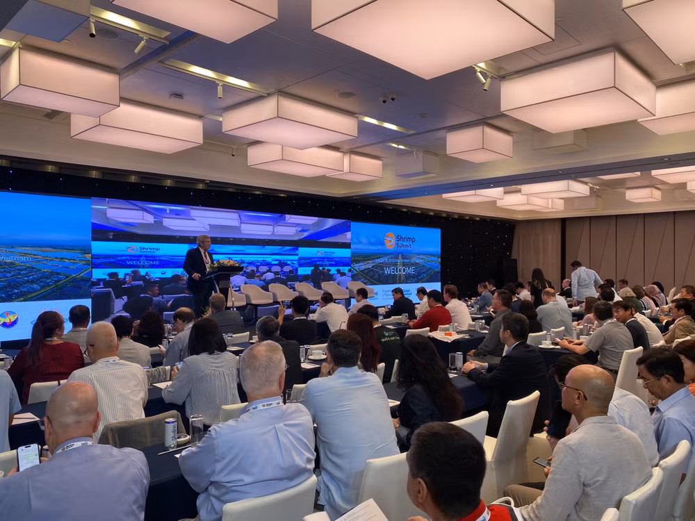☕️越通社新闻下午茶(2023.7.25) ảnh 3 ☕️越通社新闻下午茶(2023.7.25) ảnh 3