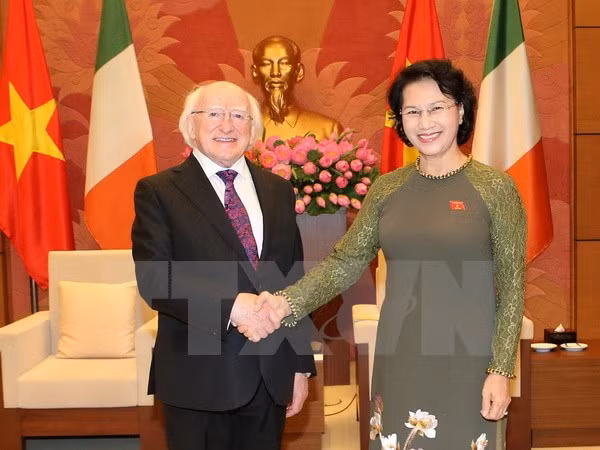 越南国会主席阮氏金银会见爱尔兰总统迈克尔•希金斯 ảnh 1