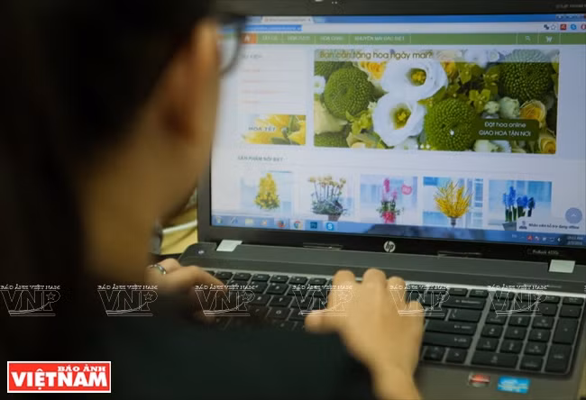 大叻蔬菜与花卉王国 ảnh 16 大叻蔬菜与花卉王国 ảnh 16