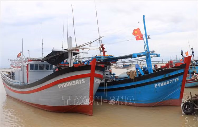解除IUU“黄牌”:坚决不让未安装巡航监测设备的渔船出海 ảnh 1 解除IUU“黄牌”:坚决不让未安装巡航监测设备的渔船出海 ảnh 1