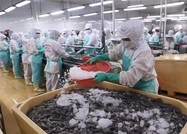 阿尔及利亚君士坦丁省希望学习借鉴越南的发展经验 ảnh 1 阿尔及利亚君士坦丁省希望学习借鉴越南的发展经验 ảnh 1