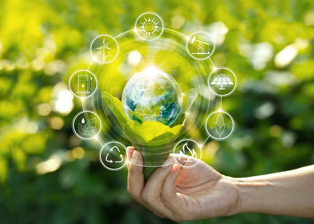 越南制定实施循环经济的标准 ảnh 1 越南制定实施循环经济的标准 ảnh 1