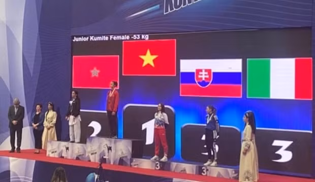 越南武术运动员在国际比赛上屡获奖牌 ảnh 1 越南武术运动员在国际比赛上屡获奖牌 ảnh 1