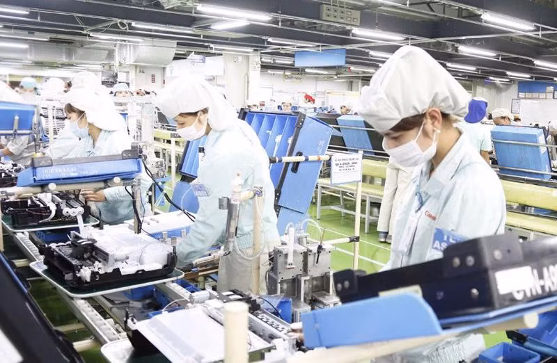 荷兰王国首相对越南进行正式访问:推动越南与荷兰两国合作关系迈上新台阶 ảnh 2 荷兰王国首相对越南进行正式访问:推动越南与荷兰两国合作关系迈上新台阶 ảnh 2