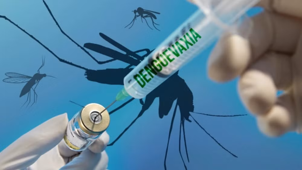 越南将参加登革热疫苗人体注射试验 ảnh 1 越南将参加登革热疫苗人体注射试验 ảnh 1