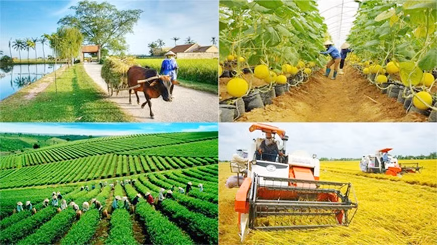 越南:制定新特殊机制 实现国家计划目标 ảnh 1 越南:制定新特殊机制 实现国家计划目标 ảnh 1