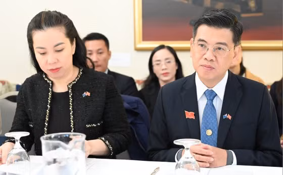 胡志明市人民议会代表团访问澳大利亚和新西兰 ảnh 1 胡志明市人民议会代表团访问澳大利亚和新西兰 ảnh 1