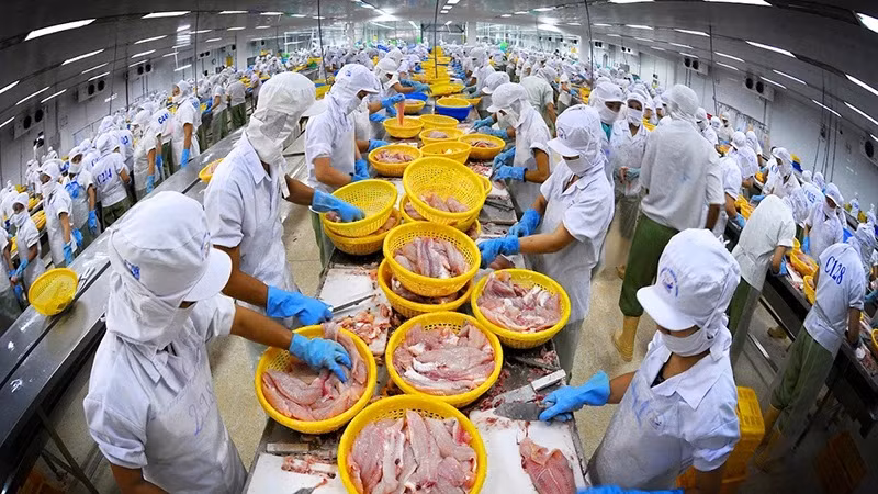 打造品牌 加大对CPTPP市场的出口力度 ảnh 1 打造品牌 加大对CPTPP市场的出口力度 ảnh 1