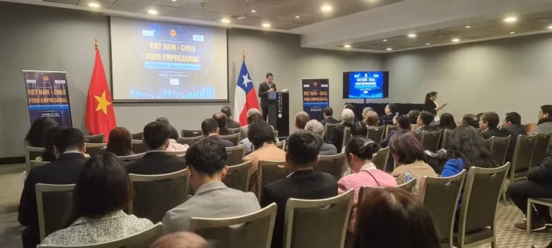 越南加强与南美国家贸易关系 ảnh 2