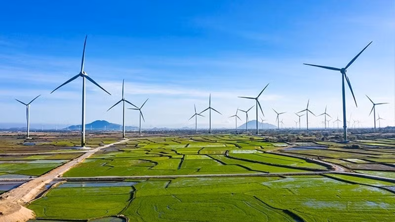 越南绿色增长:力争将绿色经济规模增至2050年的3000亿美元 ảnh 2 越南绿色增长:力争将绿色经济规模增至2050年的3000亿美元 ảnh 2