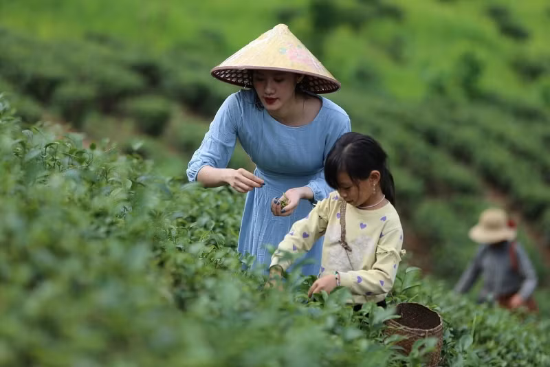 唤醒农业农村旅游发展潜力 ảnh 1