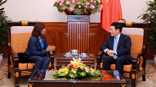 越南政府副总理兼外交部长范平明会见东帝汶新任驻越大使 ảnh 1 越南政府副总理兼外交部长范平明会见东帝汶新任驻越大使 ảnh 1