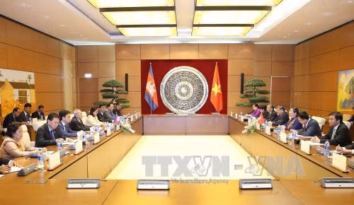 越南国会副主席丛氏放同柬埔寨参议院第一副主席奈北纳举行会谈 ảnh 1
