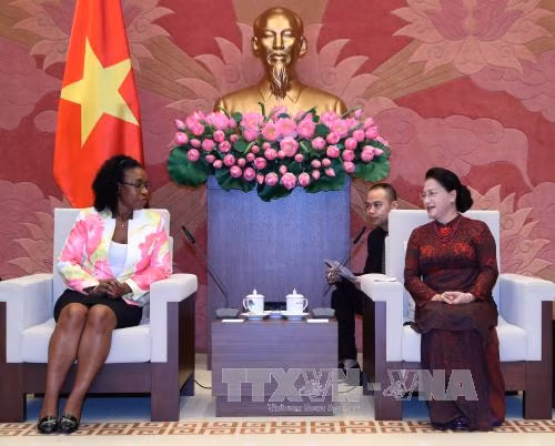 越南国会主席阮氏金银会见古巴驻越大使和莫桑比克总检察长 ảnh 2 越南国会主席阮氏金银会见古巴驻越大使和莫桑比克总检察长 ảnh 2