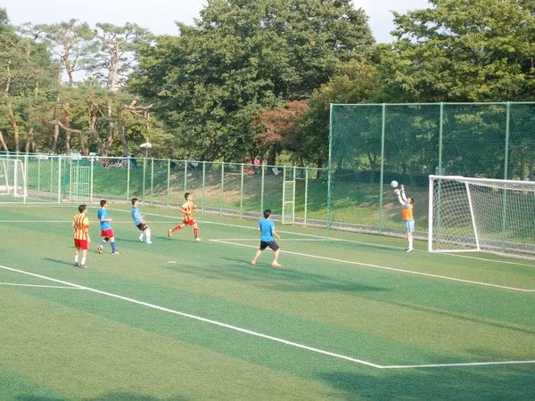 第10届在韩越南大学生运动会落下帷幕 ảnh 2