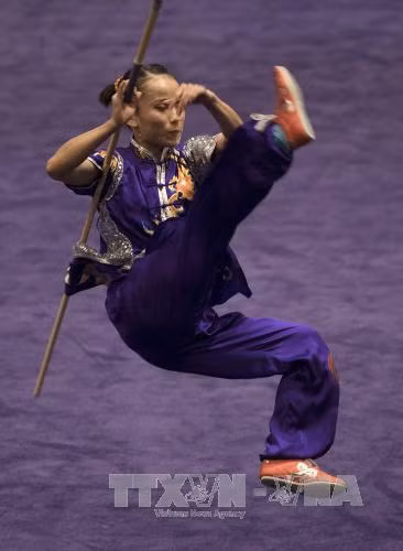 第29届东运会:越南运动员在武术剑术和武术棍术赛项夺金 ảnh 2 第29届东运会:越南运动员在武术剑术和武术棍术赛项夺金 ảnh 2