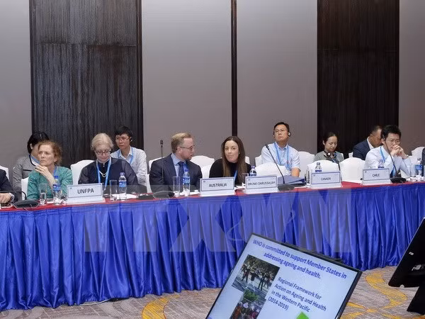 2017年APEC第三次高官会进入第九天 ảnh 1