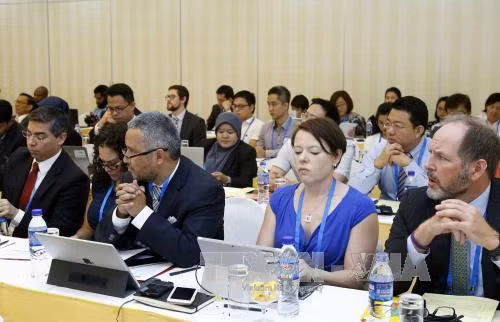 2017年APEC标准一致化分委会良好法规规范第十次会议在胡志明市举行 ảnh 2 2017年APEC标准一致化分委会良好法规规范第十次会议在胡志明市举行 ảnh 2