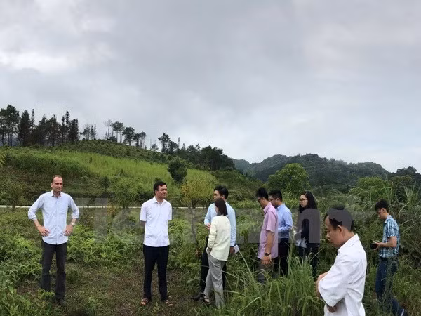 悦榕控股集团赴越南河江省考察投资商机 ảnh 1 悦榕控股集团赴越南河江省考察投资商机 ảnh 1