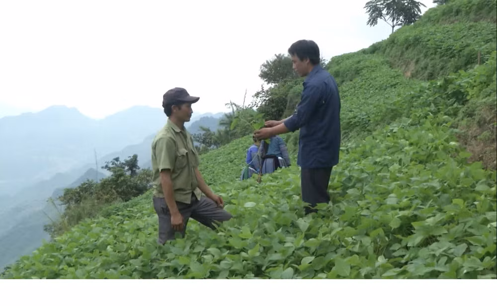 越中边境村屯缔结友好关系 富裕村屯和睦边境 ảnh 2 越中边境村屯缔结友好关系 富裕村屯和睦边境 ảnh 2
