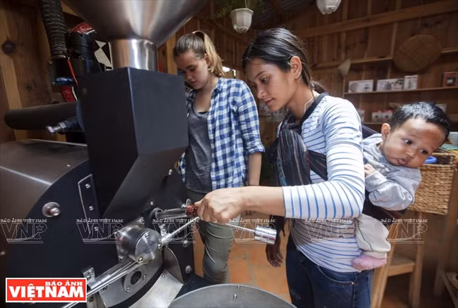 哥霍族人的清洁咖啡品牌“K’Ho Coffee” ảnh 7 哥霍族人的清洁咖啡品牌“K’Ho Coffee” ảnh 7
