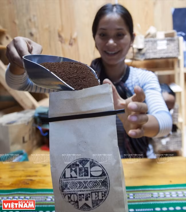 哥霍族人的清洁咖啡品牌“K’Ho Coffee” ảnh 10 哥霍族人的清洁咖啡品牌“K’Ho Coffee” ảnh 10