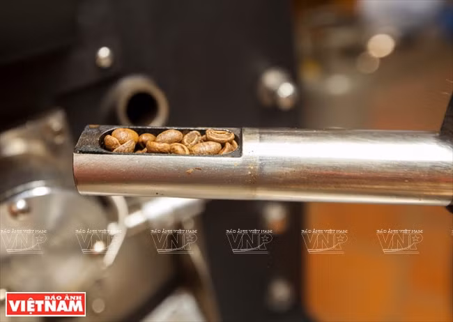 哥霍族人的清洁咖啡品牌“K’Ho Coffee” ảnh 8 哥霍族人的清洁咖啡品牌“K’Ho Coffee” ảnh 8