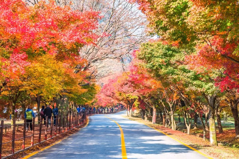 越南出境旅游市场复苏较快 ảnh 1