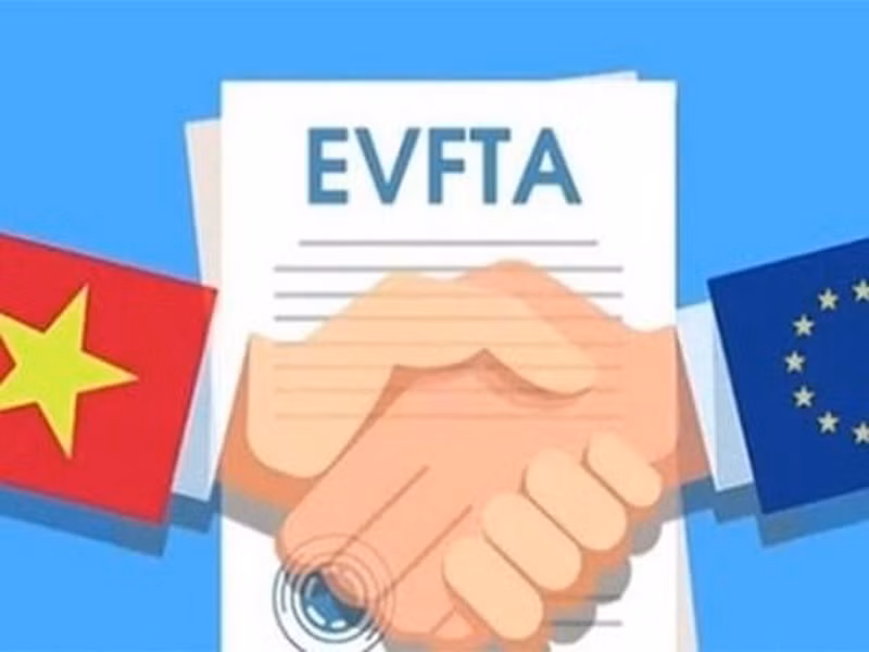 ☕️越通社新闻下午茶(2022.11.14) ảnh 3 ☕️越通社新闻下午茶(2022.11.14) ảnh 3