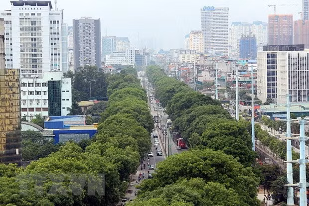 越南城市化率远低于地区和世界平均水平 ảnh 1