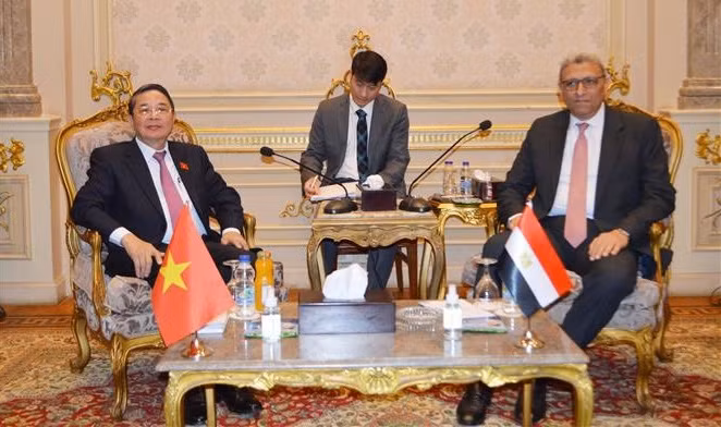 越南国会副主席阮德海访问埃及 ảnh 1
