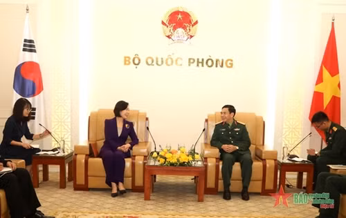 越南国防部长潘文江大将会见韩国驻越南大使 ảnh 1