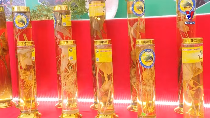 莱州省力争将人参产品走出国门 ảnh 1 莱州省力争将人参产品走出国门 ảnh 1