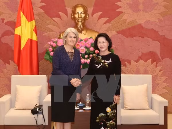 越南国会主席阮氏金银会见丹麦和瑞典驻越南大使 ảnh 1 越南国会主席阮氏金银会见丹麦和瑞典驻越南大使 ảnh 1