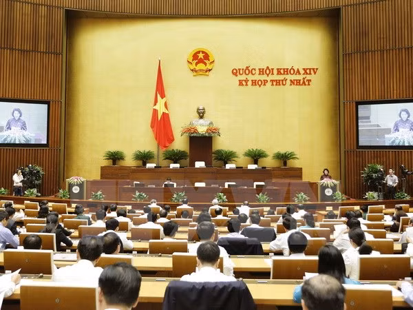 第14届国会新当选代表:决心完成重任 ảnh 1 第14届国会新当选代表:决心完成重任 ảnh 1