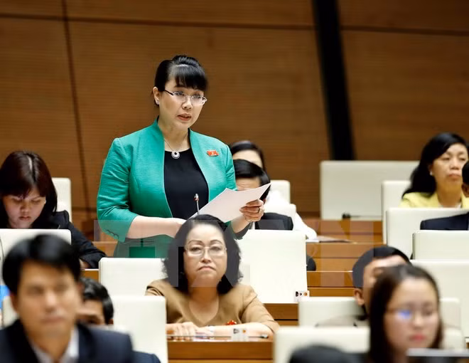 越南国家选举委员会召开第八次会议 审查确认494名国会代表资格 ảnh 1 越南国家选举委员会召开第八次会议 审查确认494名国会代表资格 ảnh 1