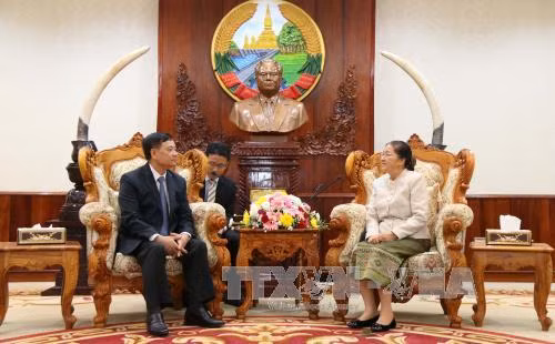 老挝国会主席巴妮·雅陶都高度评价越南国会所提供的帮助 ảnh 1