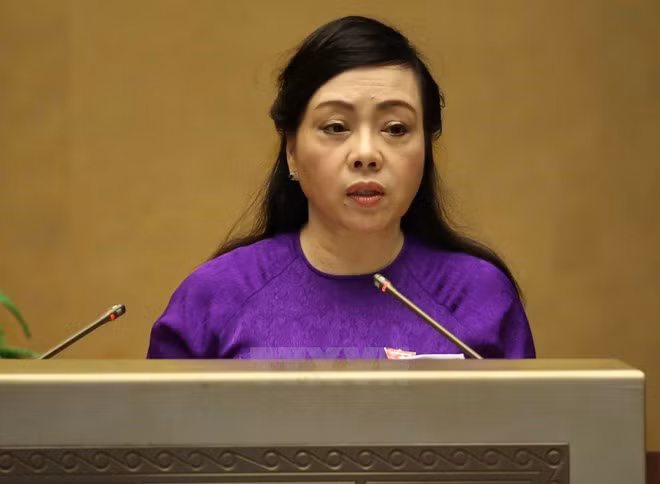 越南与法国加强民间团结友好关系 ảnh 1