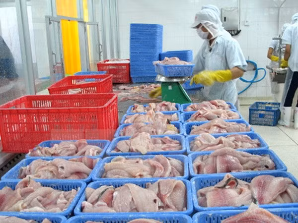 越南对美国出口的鲶鱼产品需进行取样检测 ảnh 1