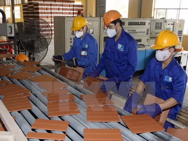 越南与古巴建材制造联营公司成立在即 ảnh 1