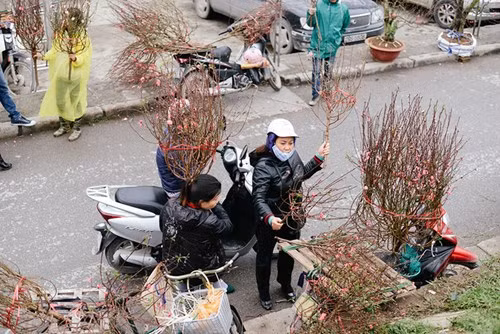 河内春节期间不能错过的四大集市 ảnh 2 河内春节期间不能错过的四大集市 ảnh 2