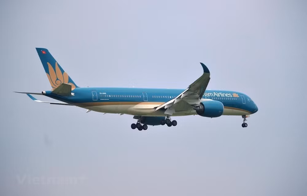 越南国家航空公司因遭受第9号台风影响而调整航班执行计划 ảnh 1 越南国家航空公司因遭受第9号台风影响而调整航班执行计划 ảnh 1