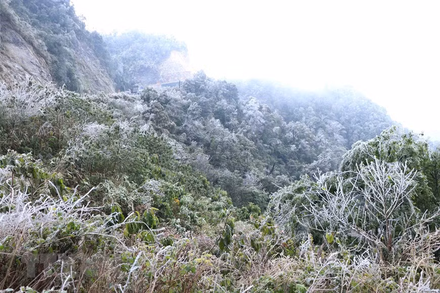 越南北部地区异常寒冷天气造成灾区严重损失 ảnh 1 越南北部地区异常寒冷天气造成灾区严重损失 ảnh 1