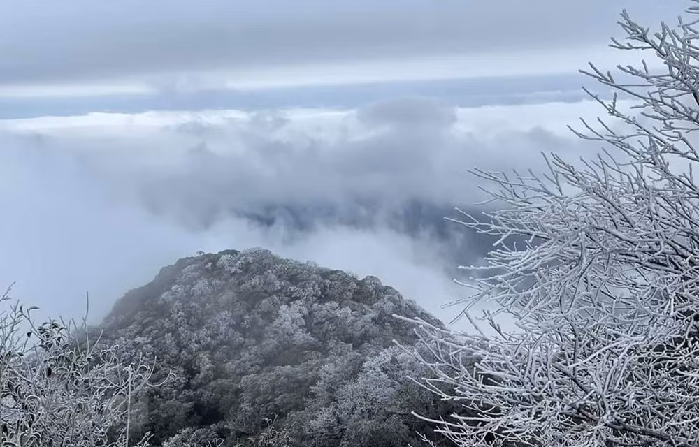 北部山区多地雪白“仙境”吸引大量游客前来参观 ảnh 1 北部山区多地雪白“仙境”吸引大量游客前来参观 ảnh 1
