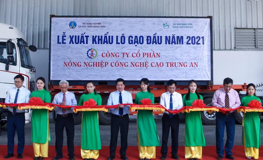 2021年初越南向新加坡和马来西亚出口1600吨大米 ảnh 1 2021年初越南向新加坡和马来西亚出口1600吨大米 ảnh 1