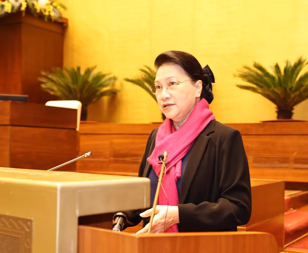 越南国会主席阮氏金银要求不断革新国会活动 ảnh 2 越南国会主席阮氏金银要求不断革新国会活动 ảnh 2