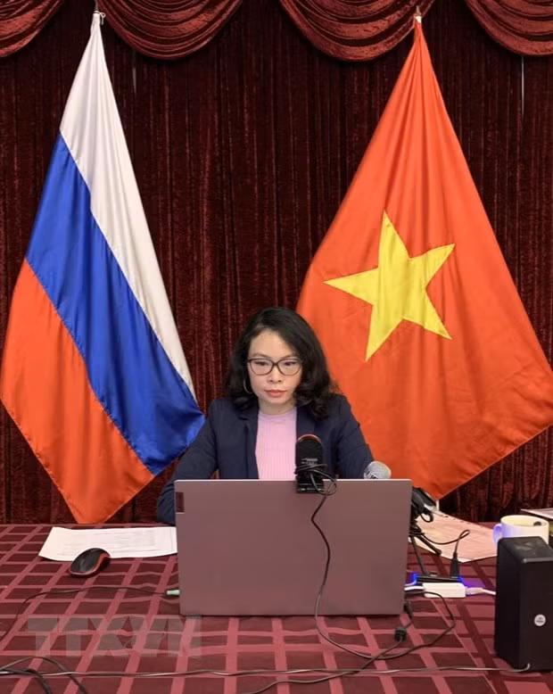 纪念越俄建交71周年研讨会以视频形式举行 ảnh 2