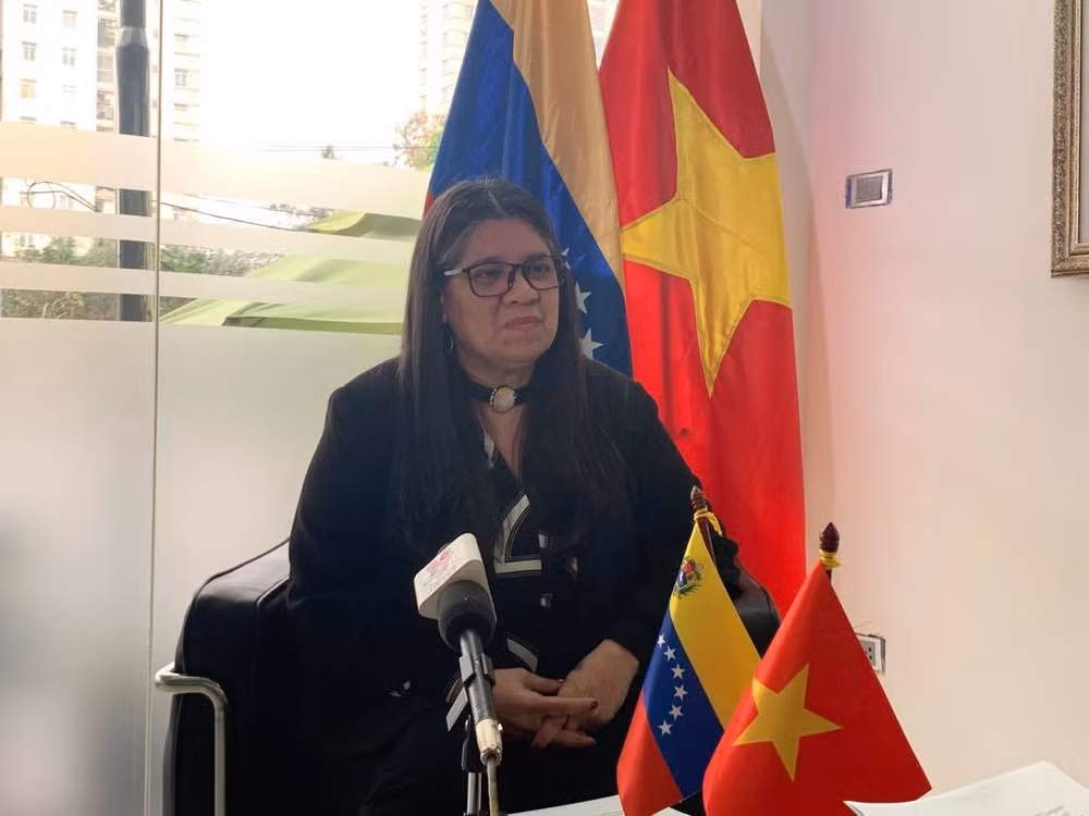 委内瑞拉驻越南大使：越共十三大——未来的钥匙 ảnh 1