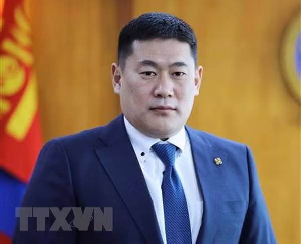 越南政府总理阮春福向蒙古国新任总理致贺电 ảnh 1