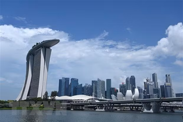新冠肺炎疫情加快新加坡的数字贸易进程 ảnh 1 新冠肺炎疫情加快新加坡的数字贸易进程 ảnh 1